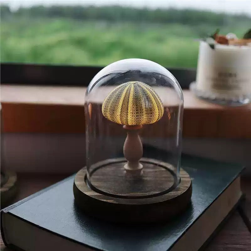 Ocean Lamp